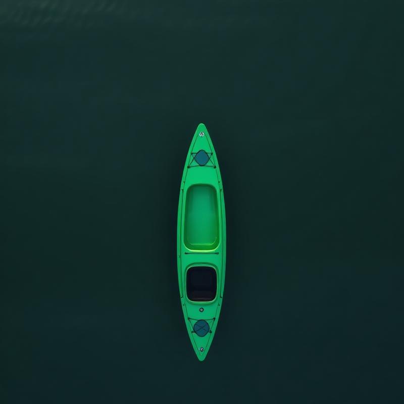 Kayak Perception